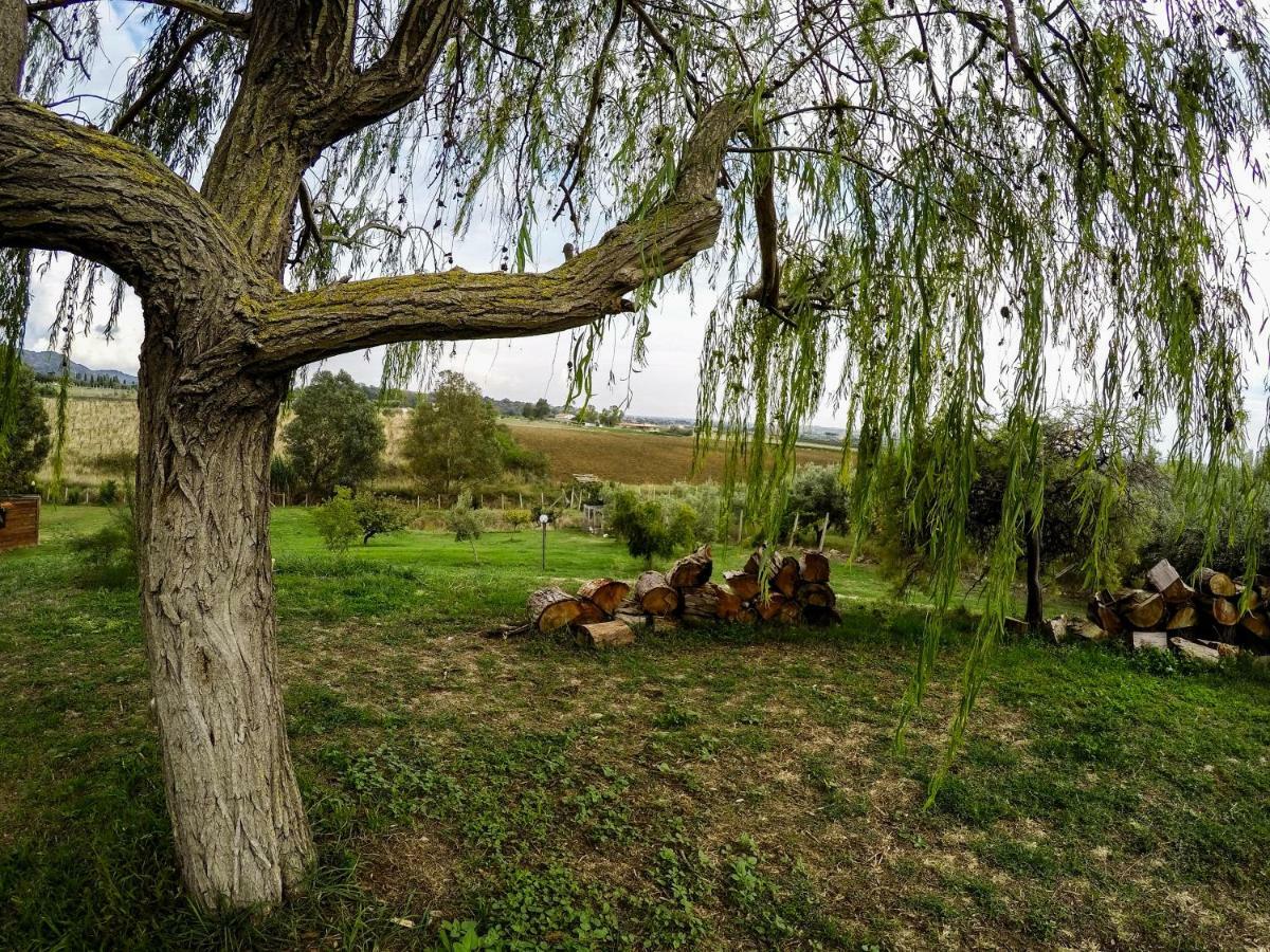 Le Cascatelle Vila Cerveteri Exterior foto